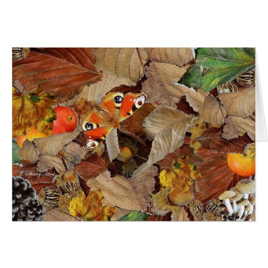 AUTUMN TREASURE ~ Card (Front Horizontal)