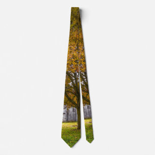 Autumn Tree And Barn Painterly Neck Tie