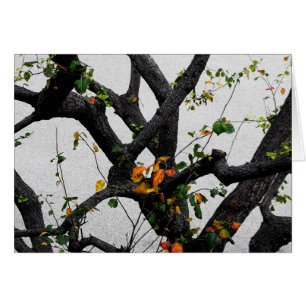 Autumn Tree Branches Cards