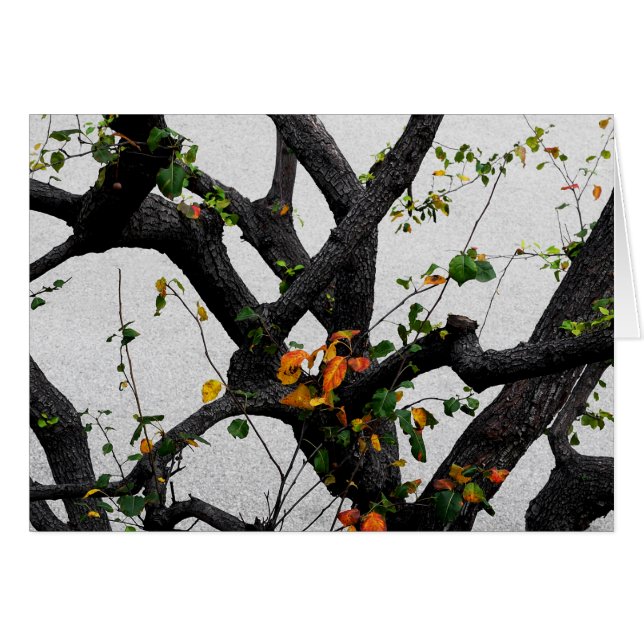 Autumn Tree Branches Cards (Front Horizontal)
