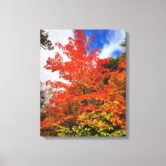 Autumn tree canvas print (Front)