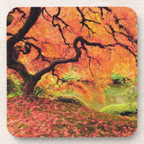 Autumn Tree Drink Coaster