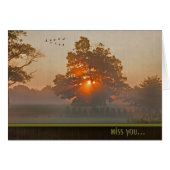 Autumn Tree In Misty Sunlight (Front Horizontal)