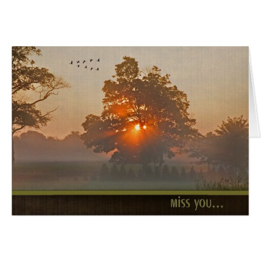 Autumn Tree In Misty Sunlight Cards (Front Horizontal)