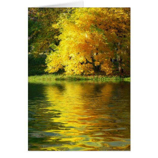 Autumn tree in the forest with reflection cards (Front)