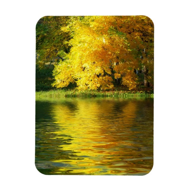 Autumn tree in the forest with reflection magnet (Vertical)