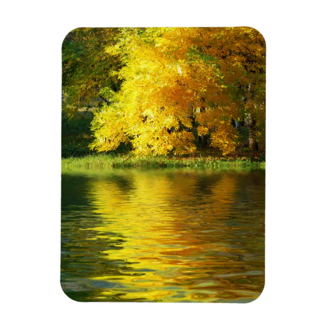 Autumn tree in the forest with reflection magnet | Zazzle