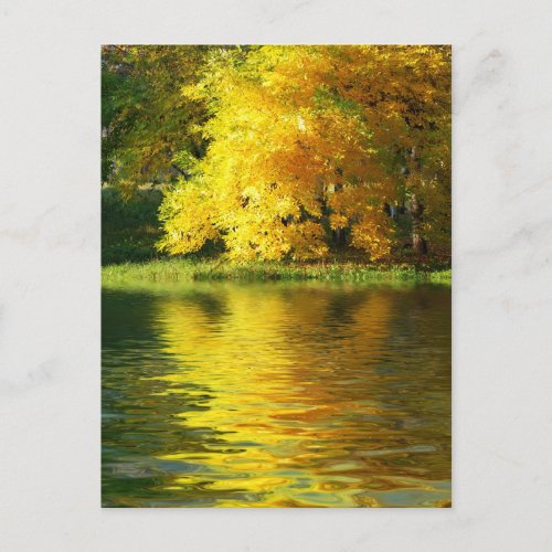 Autumn tree in the forest with reflection postcard