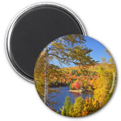 Autumn tree landscape Maine Magnet