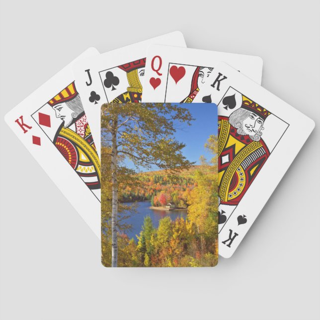 Autumn tree landscape, Maine Poker Cards (Back)