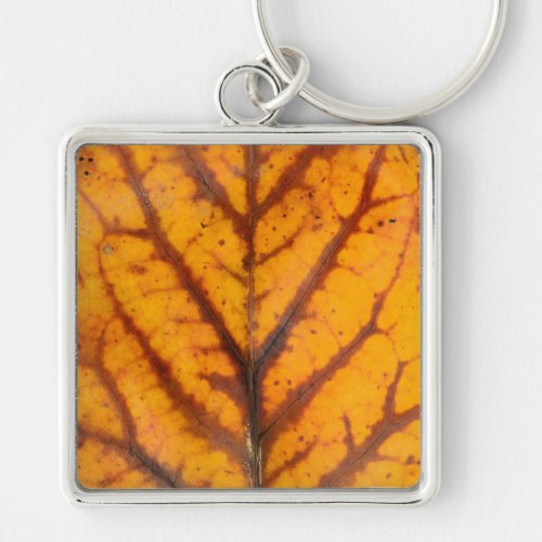 autumn tree leaf texture pattern background nature keychain