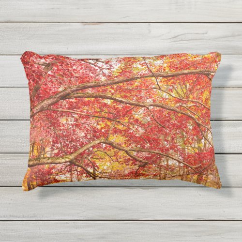 Autumn Tree Leaves Fall Outdoor Accent Pillow