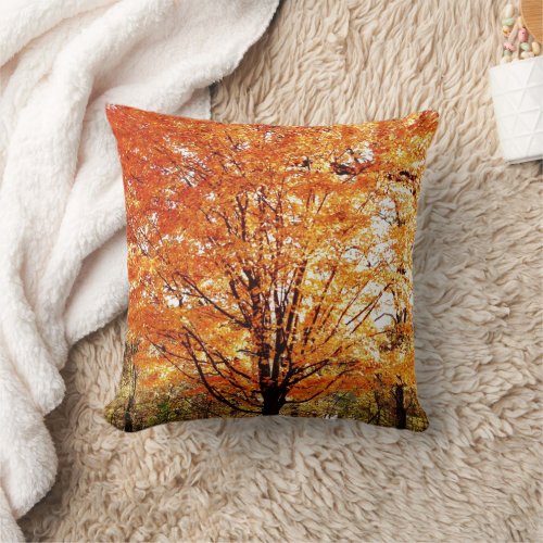  Autumn Tree Leaves Seasonal Square Throw Pillow