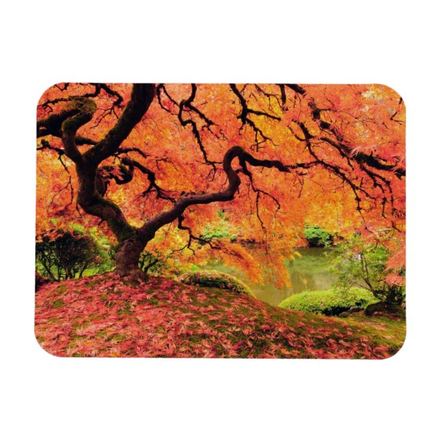 Autumn Tree Magnet (Horizontal)