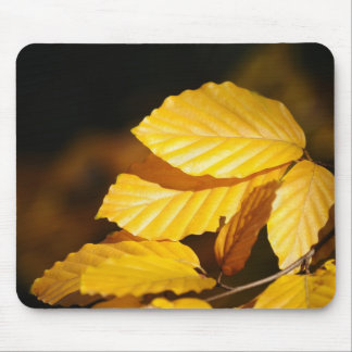 autumn tree mouse pad