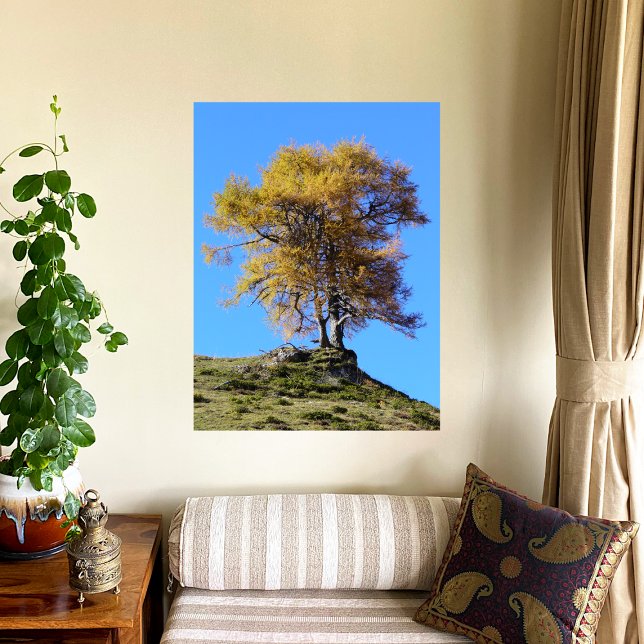 Autumn Tree Poster (Creator Uploaded)