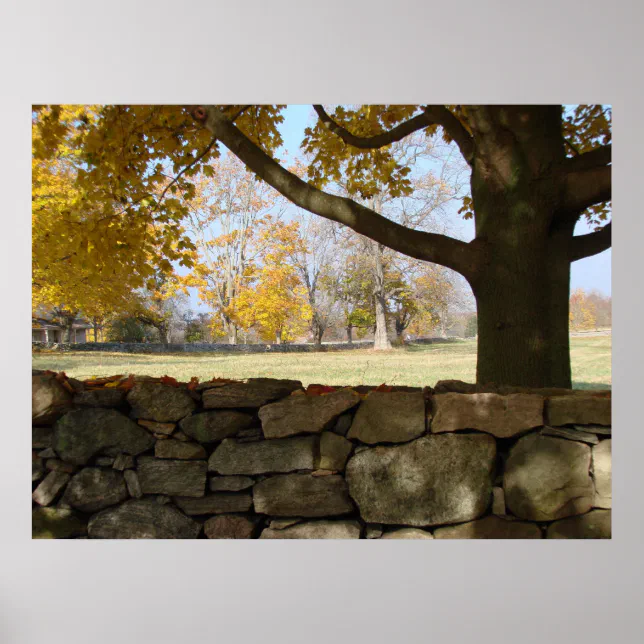 Fall Tree Posters Autumn Tree & Wall Poster | Zazzle