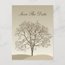 Autumn Tree Wedding Announcement Postcard