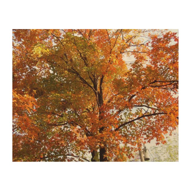 Autumn Tree with Leaves on Wood Wood Wall Decor (Front)