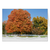Autumn Tree with Torn Edge Border