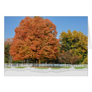 Autumn Tree with Torn Edge Border Cards
