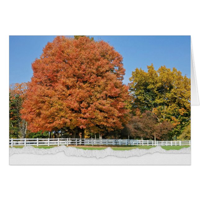 Autumn Tree with Torn Edge Border Cards (Front Horizontal)
