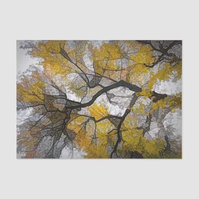 Autumn Tree Yellow Gray Leaves Sky Tissue Paper (Front)