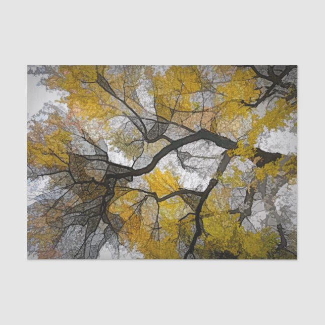 Autumn Tree Yellow Gray Leaves Sky Tissue Paper (Front)