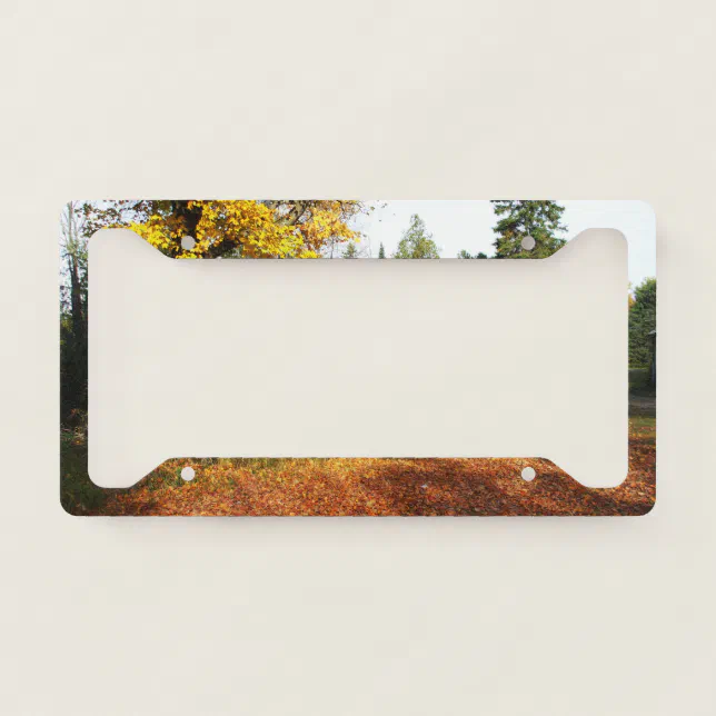 Autumn Trees and Leaves on Ground License Plate Frame | Zazzle