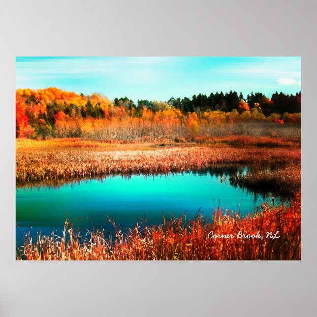 Autumn Trees and Marshland Newfoundland Canada Poster (Front)