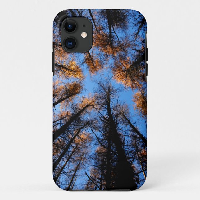 Autumn trees at  sunset Case-Mate iPhone case (Back)