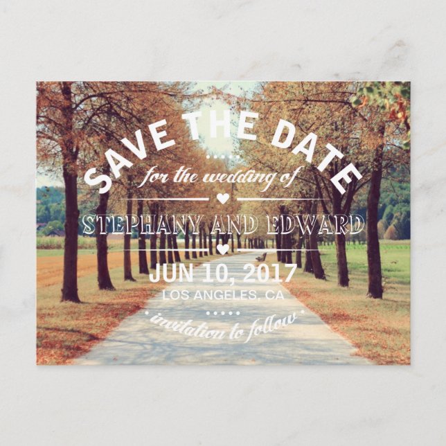 Autumn Trees Avenue Save the Date Postcard Wording (Front)
