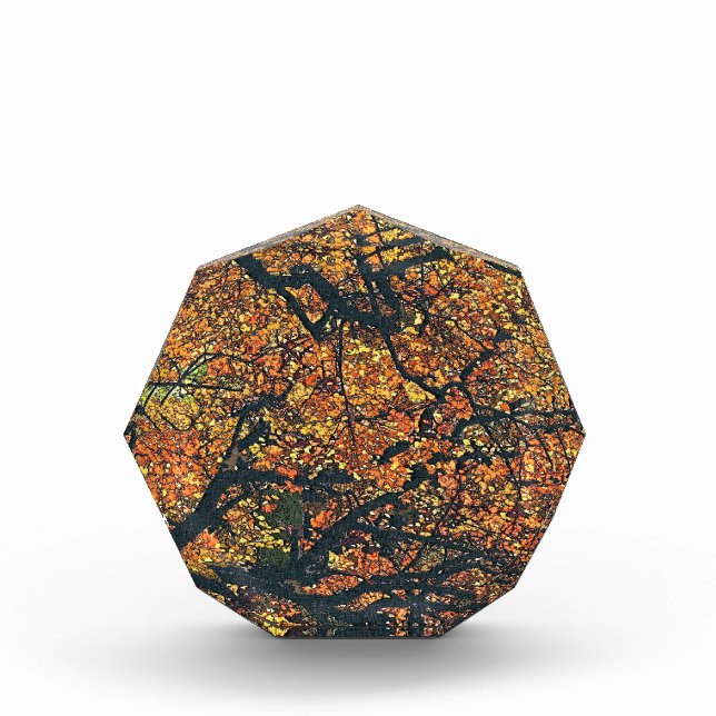 AUTUMN TREES AWARD (Front)