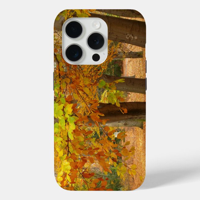 Autumn Trees Case-Mate iPhone Case (Back)