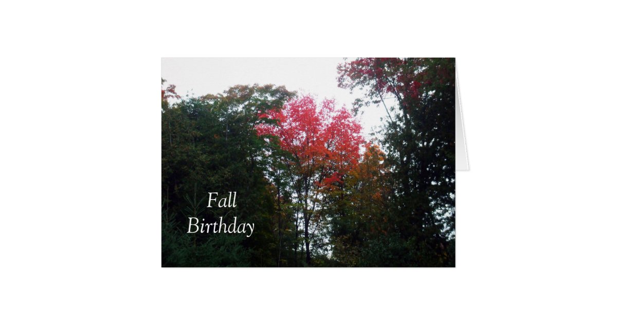 Autumn Trees-Fall Birthday Card | Zazzle
