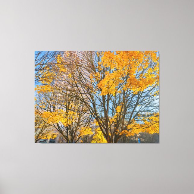 Autumn Trees in Cityscape Canvas Print (Front)