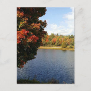 Autumn Trees in Ontario, Canada Postcard