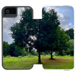Autumn trees iPhone SE/5/5s wallet case