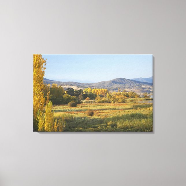 Autumn Trees, Khancoban, Snowy Mountains, New Canvas Print (Front)