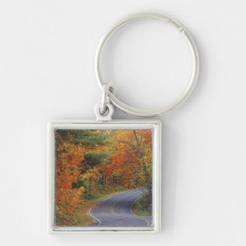 Autumn trees line roadway in Itasca State Park Keychain