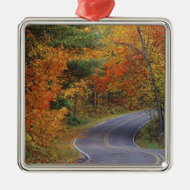 Autumn trees line roadway in Itasca State Park Metal Ornament (Front)
