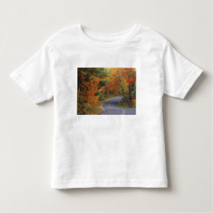 Autumn trees line roadway in Itasca State Park Toddler T-shirt