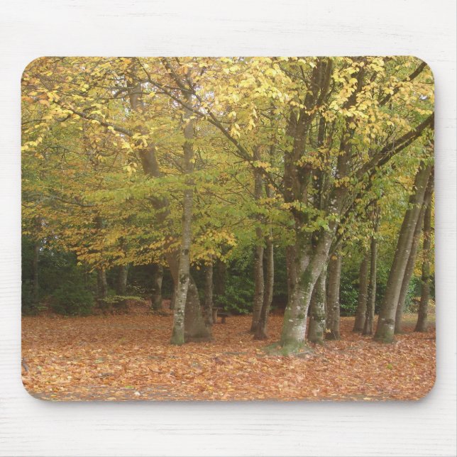 Autumn trees mouse pad (Front)