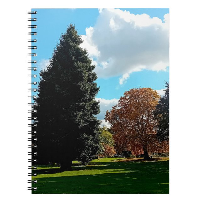 Autumn trees notebook (Front)