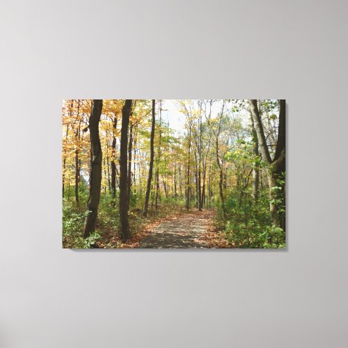 Autumn Trees on Walking Path Large Canvas Print