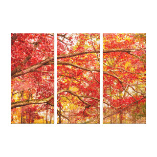Autumn Trees Orange Nature Triptych Canvas Print