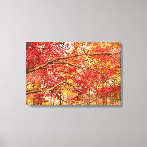 Autumn Trees Orange Nature Triptych Canvas Print