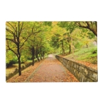 Autumn Trees Placemat at Zazzle