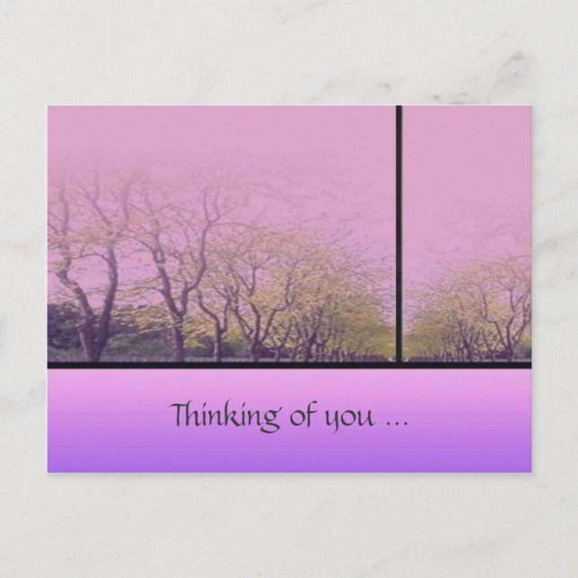 Autumn Trees Postcard (Front)