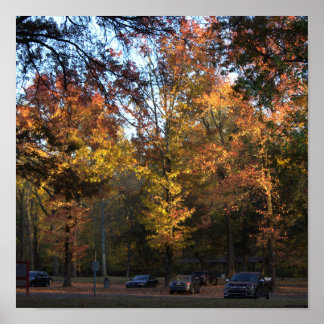Autumn Trees Poster 